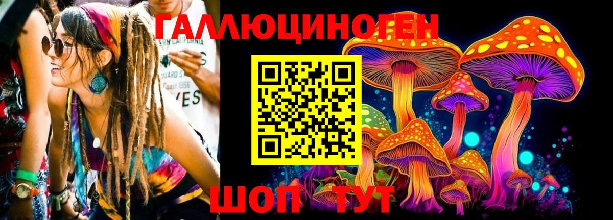 Псилоцибиновые грибы MAGIC MUSHROOMS  Вход с VPN  Псилоцибиновые грибы Psilocybe  Киров 
